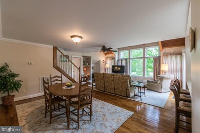 26 Indian Run Ln, Berkeley Springs, WV 25411 - photo 6