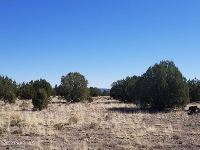 Lot 264 Juniperwood Ranch, Ash Fork, AZ 86320 - photo 5