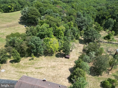 1157 Carpers Pike, Gore, VA 22637 - photo 7