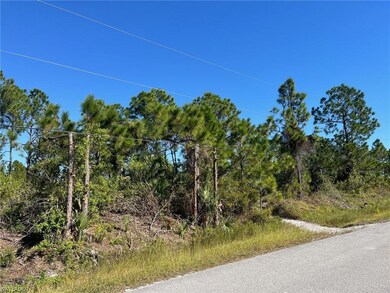 0 54th Ave NE unit 225080151, Naples, FL 34120 - photo 2