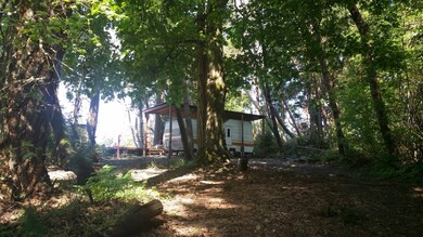 9910 Steffensen Rd, Anderson Island, WA 98303 - photo 5