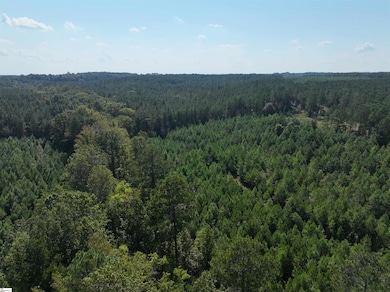 205 Sawney Creek Rd, Calhoun Falls, SC 29628 - photo 5