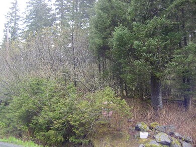 Lots of trees