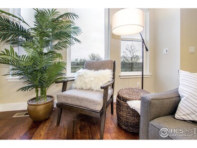 415 Osiander St, Fort Collins, CO 80524 - photo 7