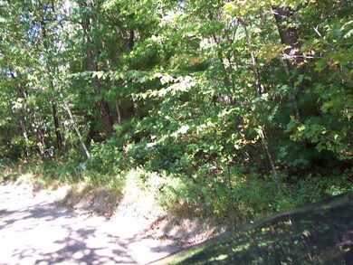 30 Brewer St, Worcester, MA 01609 - photo 4