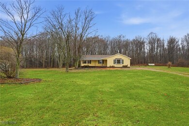 16320 Leggett Rd, Montville, OH 44064 - photo 5