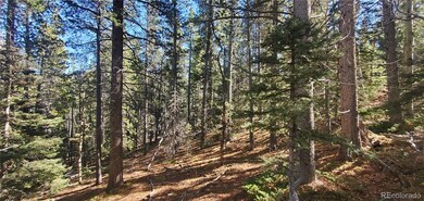 Lot 3023 & 3024 Bolwell Ln unit 3023,3024, Fort Garland, CO 81133 - photo 5