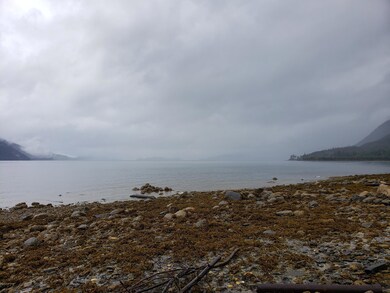 L14 Shoemaker Loop Rd, Wrangell, AK 99929 - photo 6