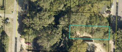 0 Benjamin St, Crestview, FL 32536 - photo 7