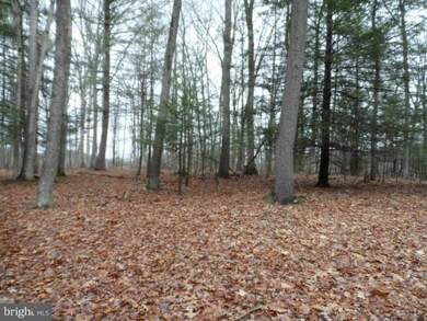 29 Silverstone Ln, Berkeley Springs, WV 25411 - photo 5