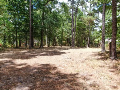 TBD E Forest Ct, Conroe, TX 77384 - photo 7
