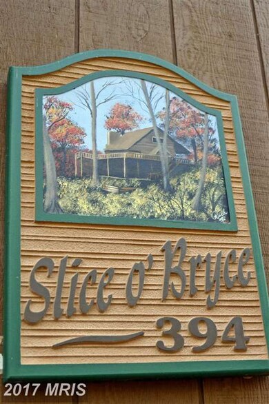 394 Killmon Rd, Basye, VA 22810 - photo 3