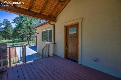 214 Turnabout Ln, Florissant, CO 80816 - photo 4