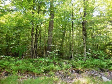 L 19 Bunker Ln, Hartland, ME 04943 - photo 3