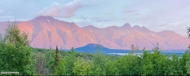 17050 E T and T Ln, Palmer, AK 99645 - photo 2