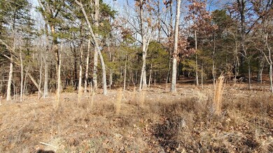 000 Lot 85 Overlook Subdivision, Kimberling City, MO 65686 - photo 3