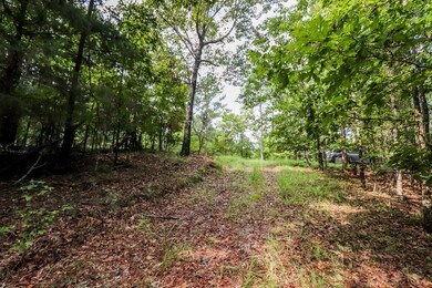 4004 Sutherland Dr, Oxford, MS 38655 - photo 7