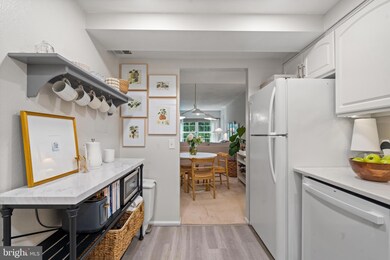 7661 Provincial Dr unit 206, West McLean, VA 22102 - photo 6