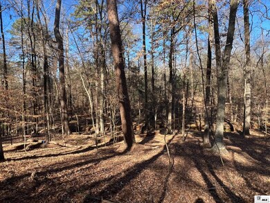 0 Audubon Dr unit Savannah Trace, Ruston, LA 71270 - photo 6