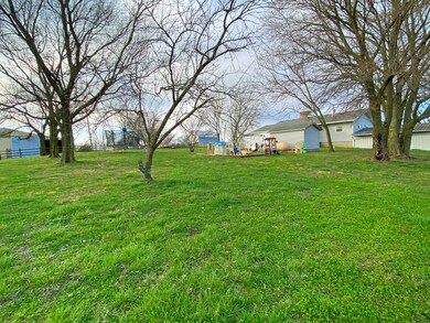 Backyard2