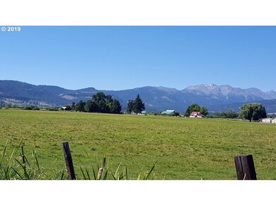 0 0 Lone Fir unit 19409627, Halfway, OR 97834 - photo 6