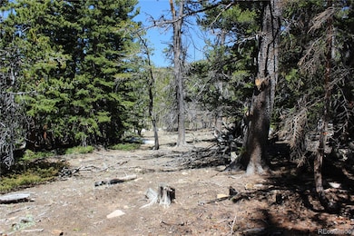 unlisted-address, Idaho Springs, CO 80436 - photo 5