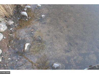 Water along the shore.