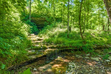 122 Mercy Ln, Cookeville, TN 38506 - photo 4