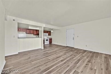 5031 Indian River Dr unit 185, Las Vegas, NV 89103 - photo 5