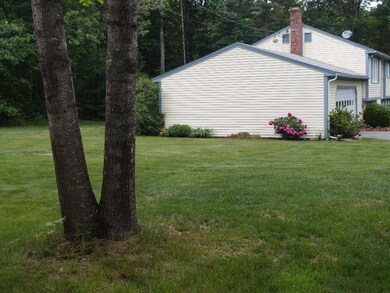 Side View