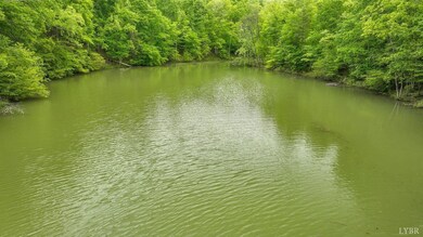 0 Reservoir View Ct, Pittsville, VA 24139 - photo 5