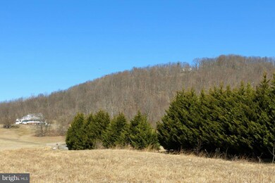 0 Clark Ln unit 1002850618, Sperryville, VA 22740 - photo 4