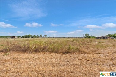 1030 Goates Rd, Troy, TX 76579 - photo 4