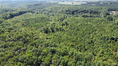 Drone / aerial view of a heavily wooded area