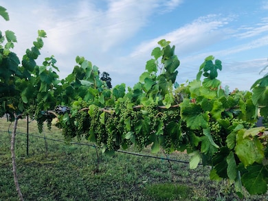 19055 Del Mar Dr, Cottonwood, CA 96022 - photo 3