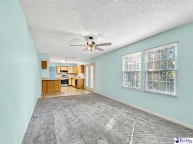 217 Moss Field Rd, Columbia, SC 29229 - photo 5