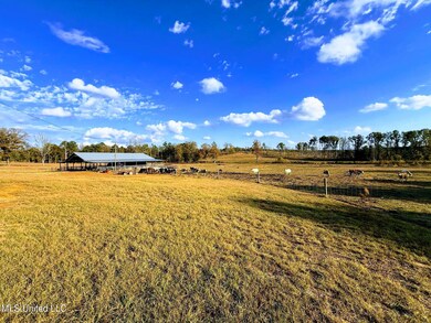 0 Zion Rd unit 4132047, Walnut Grove, MS 39189 - photo 4