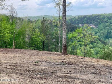 Bluff Views