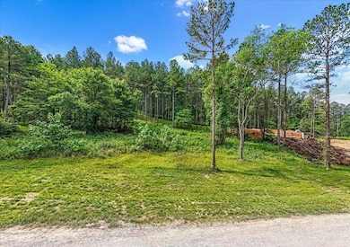 02-DJI_20250611094129_0029_D