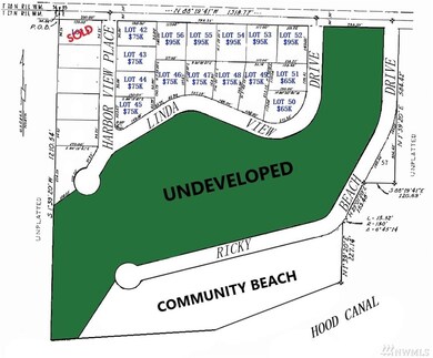 54 Shine Rd, Port Ludlow, WA 98365 - photo 2