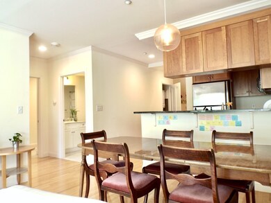 2-14 Saint Paul St unit 206, Brookline, MA 02446 - photo 6