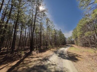 00 Rocky Ridge Rd, Oxford, NC 27565 - photo 7