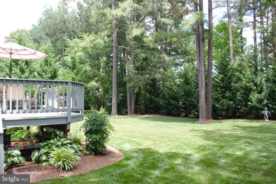 14419 Dampier Dr, Chester, VA 23831 - photo 5