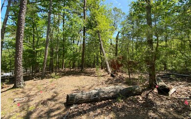 Additional View