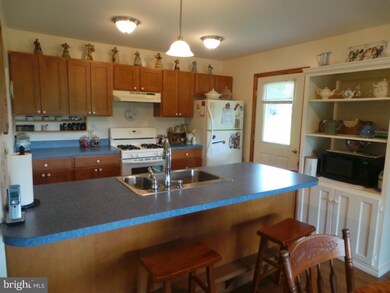 289 Packing House Rd, Berkeley Springs, WV 25411 - photo 7