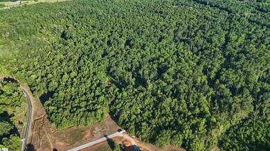 225 W Chapman Rd, Belton, SC 29627 - photo 4