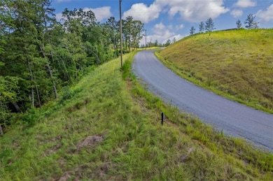 LT 246 Spear Point Dr, Talking Rock, GA 30175 - photo 7