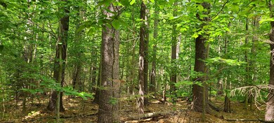 579 Paris Hill Rd, Buckfield, ME 04220 - photo 7