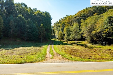 TBD Highway 88, Laurel Springs, NC 28644 - photo 3