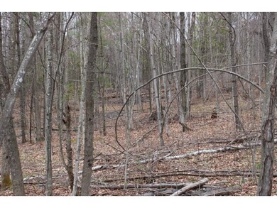 801 Brookfield Rd, Berlin, VT 05602 - photo 2